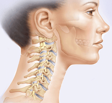 Illustration of cervical spine